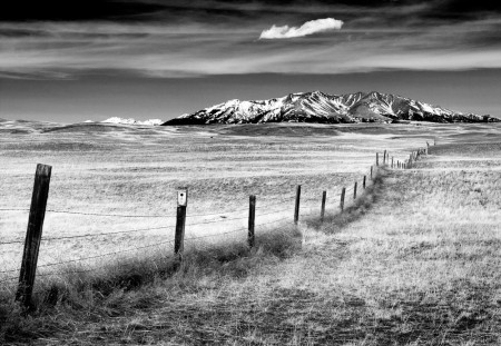 Fenceline Montana