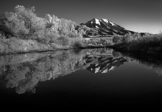 Beaver Dam, Montana 2007