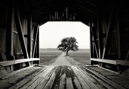 Covered Bridge, Indiana 2004