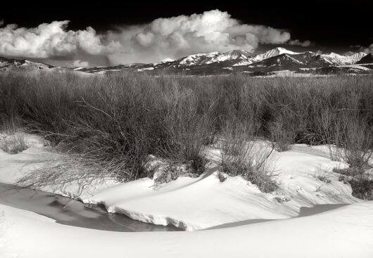 Crazies Brush, Montana 2008