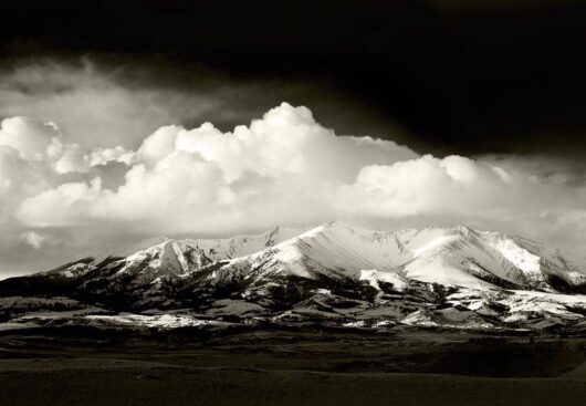 Crazies Canopy, Montana 2009