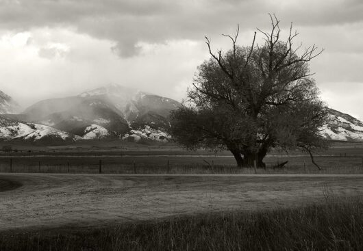 Crossroads, Montana 2004