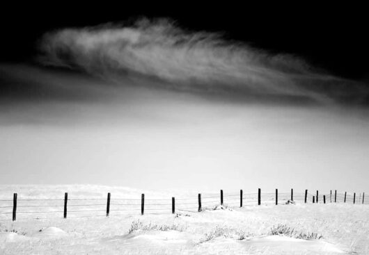 Fenceline, Montana 2007