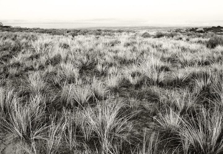 Grassland, Montana 2007