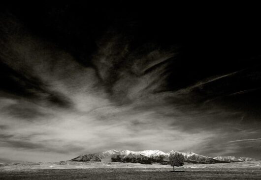 Lone Tree with Crazies, Montana 2007