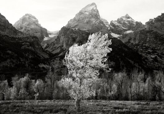 Grand Teton National Park