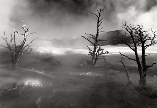 Mammoth Hot Springs at Dawn, Yellowstone National Park 2009