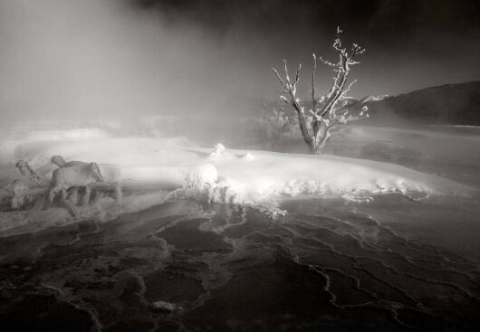 Mammoth Hot Springs 1, Yellowstone National Park 2009