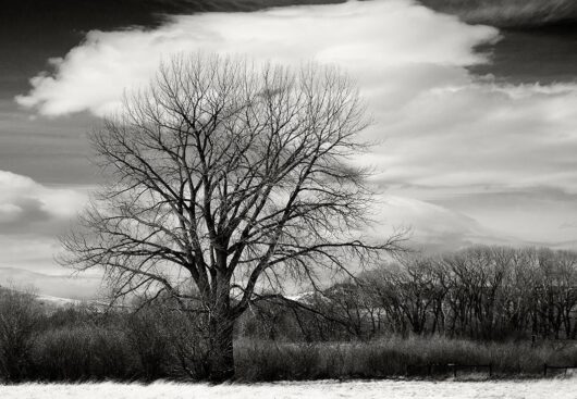 New Park, Montana 2012