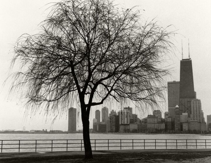 North Ave Beach, Chicago 2000