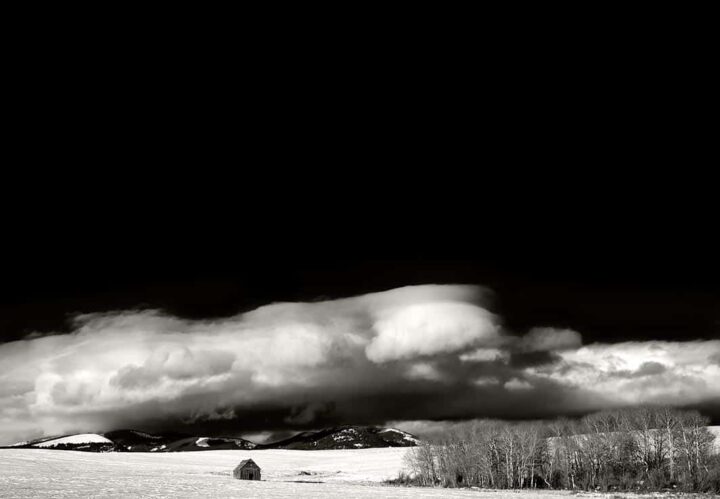 Shack, Montana 2008