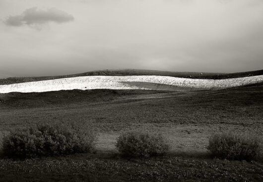 Snow Cling with Bushes, Montana 2008