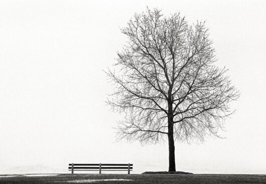 Solitude, Chicago 1998