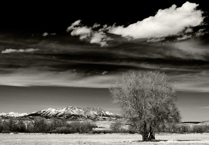 South Crazies with Lone Tree, Montana 2012