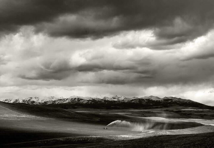 Sprinkler and Crazies, Montana 2006