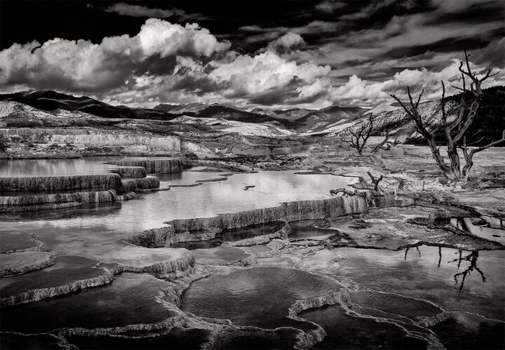 Canary Springs, Yellowstone National Park