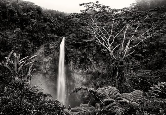 Akaka Falls Hawaii