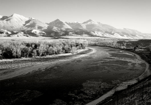 Mallards Rest Yellowstone River